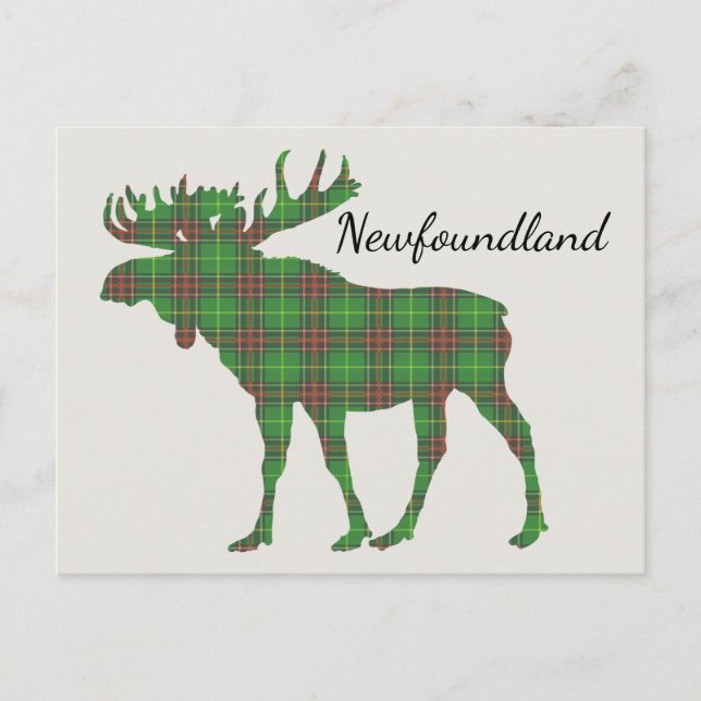 Postal Cute Tartan moose Newfoundland (Anverso)