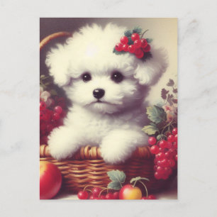 Postal Cute vintage Bichon Frisé Pintura