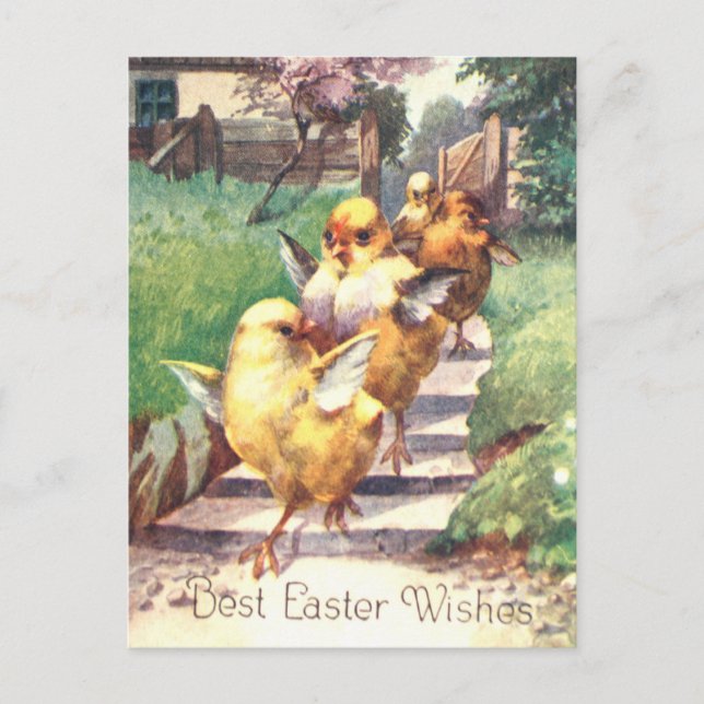 Postal Cute vintage chichas de Pascua (Anverso)