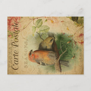 Postal Cute vintage Ephemera Gosbeak Birds Floral French
