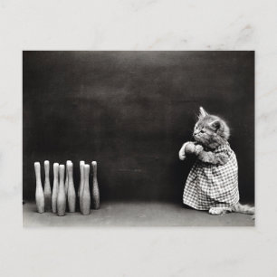 Postal Cute Vintage Kitten Bowling