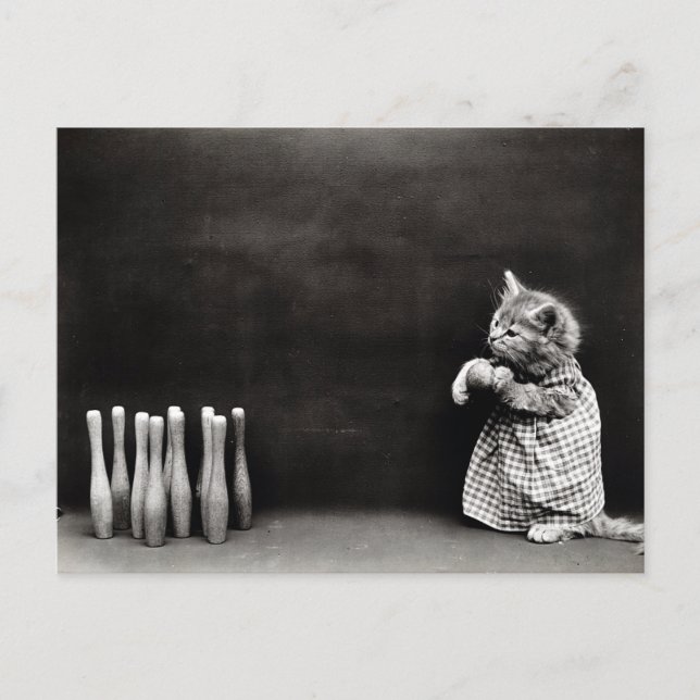 Postal Cute Vintage Kitten Bowling (Anverso)