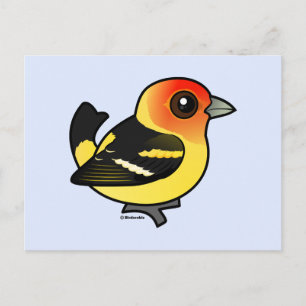 Postal Cute Western Tanager
