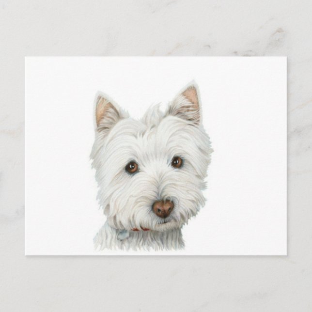 Postal Cute Westie Dog (Anverso)