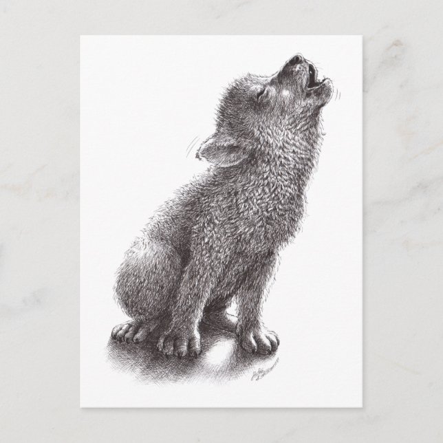 Postal Cute Wolf Pup (Anverso)