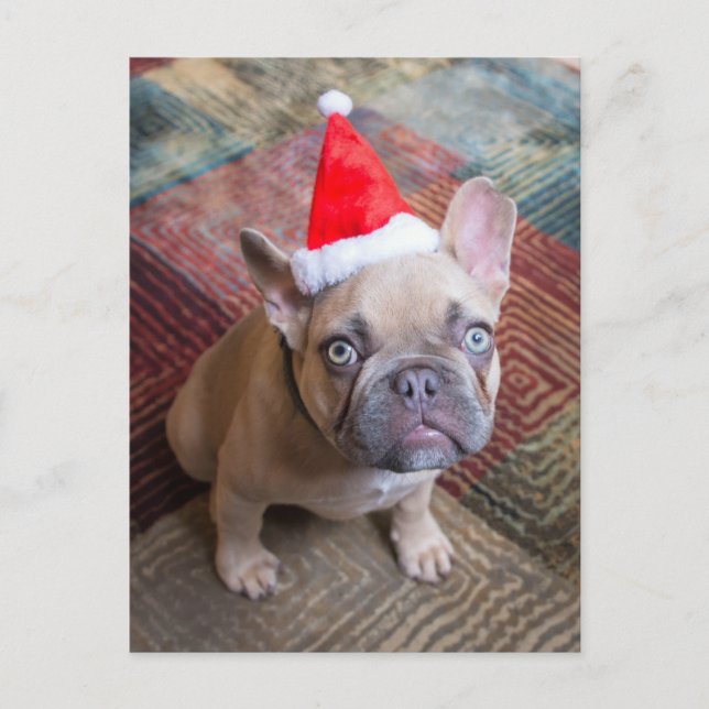 Postal Cutest Baby Animals | French Bulldog Christmas (Anverso)