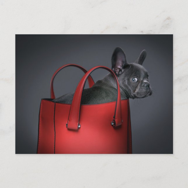 Postal Cutest Baby Animals | French Bulldog Red Hand Bag (Anverso)
