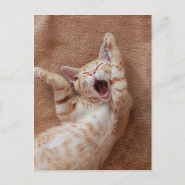 Postal Cutest Baby Animals | Ginger Kitten Yawning (Anverso)