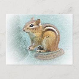 Postal Cutie rayado - Chipmunk