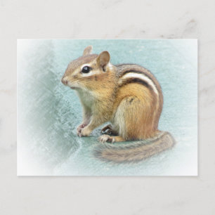Postal Cutie rayado - Chipmunk