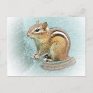 Postal Cutie rayado - Chipmunk