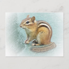 Postal Cutie rayado - Chipmunk
