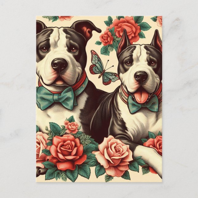 Postal Cuto Vintage American Pit Bull Terrier (Anverso)