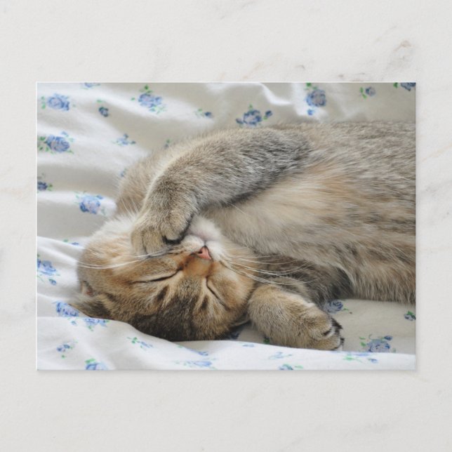 Postal Cuttin durmiendo (Anverso)