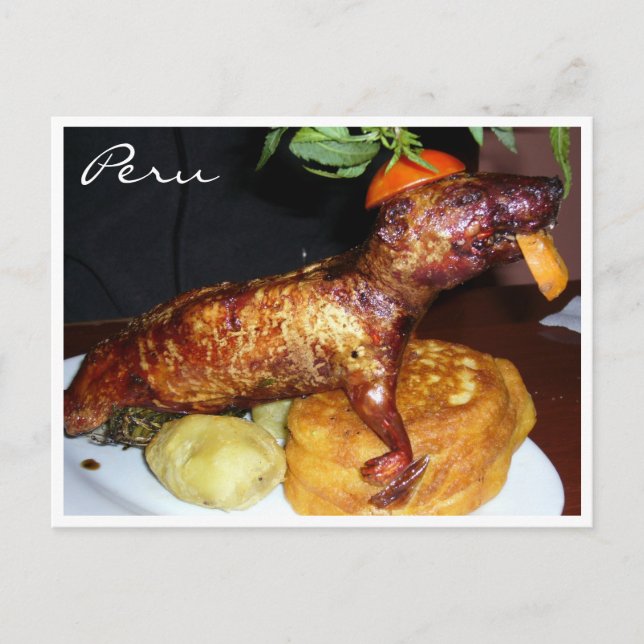 Postal cuy peru (Anverso)