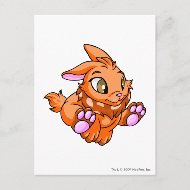Postal Cybunny Naranja (Anverso)