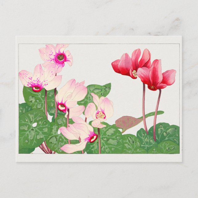 Postal Cyclamen de Tanigami Konan (Anverso)