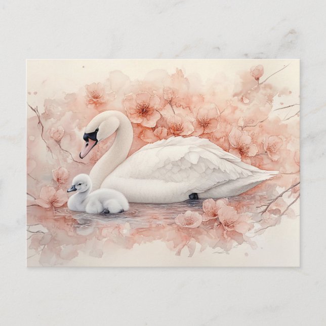 Postal Cygnet de cignet de cisne y flores rosas de Rubor (Anverso)