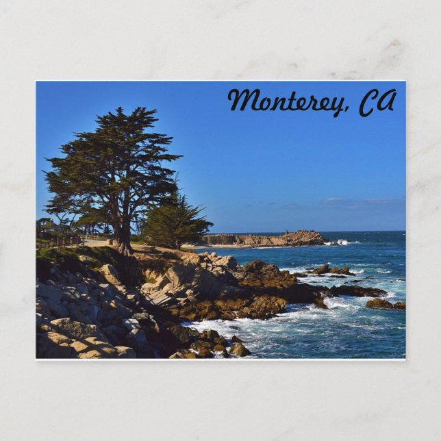 Postal Cypress en Monterey (Anverso)