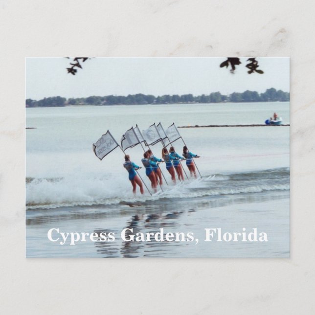 Postal Cypress Gardens Chicas de Florida WaterSkiing Post (Anverso)