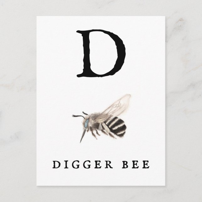 Postal "D" Digger Bee (Anverso)