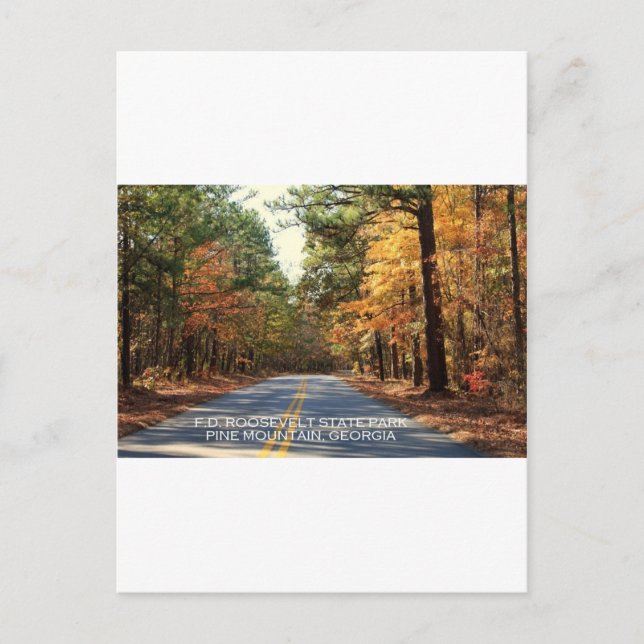 POSTAL D.F. PARQUE ESTATAL DE ROOSEVELT - MONTAÑA PINA, G (Anverso)