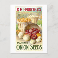 D. M. Ferry & Co. Publicidad de semillas de ceboll