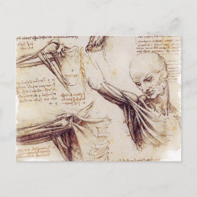 Postal da Vinci -- Bosquejo del hombro (Anverso)