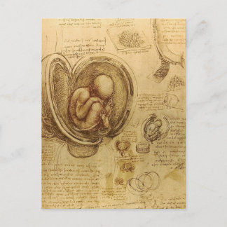 Postal da Vinci - Esbozo de embriones
