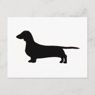 Postal dachshund