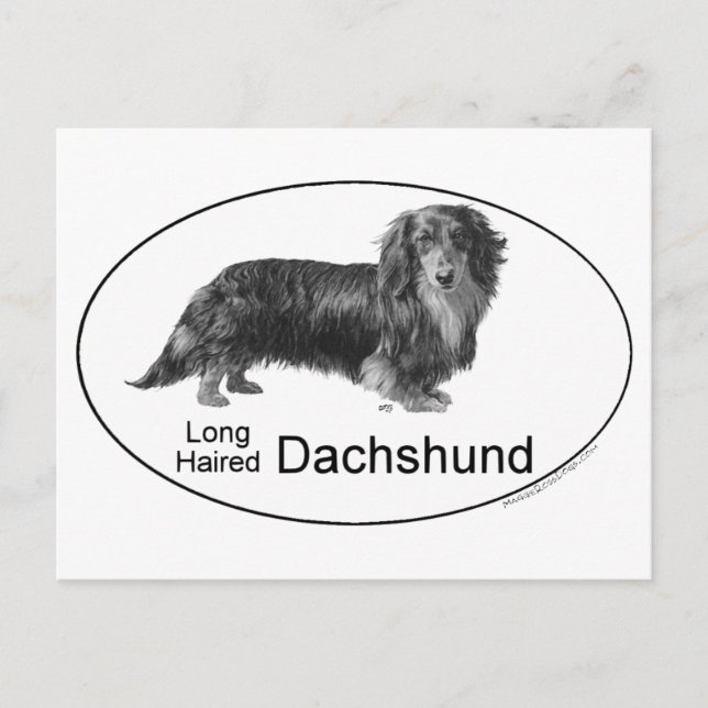 Postal Dachshund (Anverso)