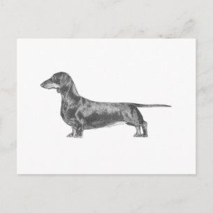 Postal Dachshund