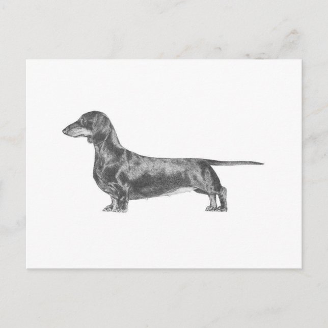 Postal Dachshund (Anverso)
