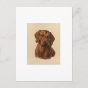 Postal Dachshund