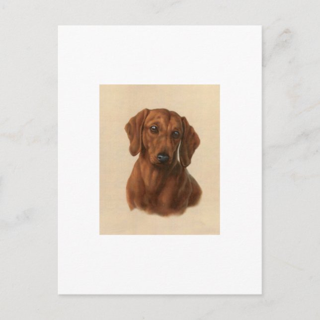 Postal Dachshund (Anverso)