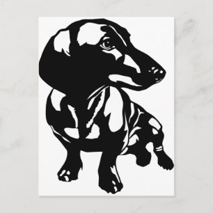 Postal Dachshund