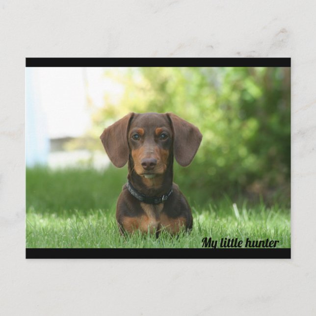 Postal Dachshund (Anverso)
