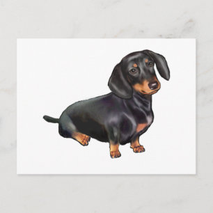 Postal Dachshund (A) - Negro y Canela