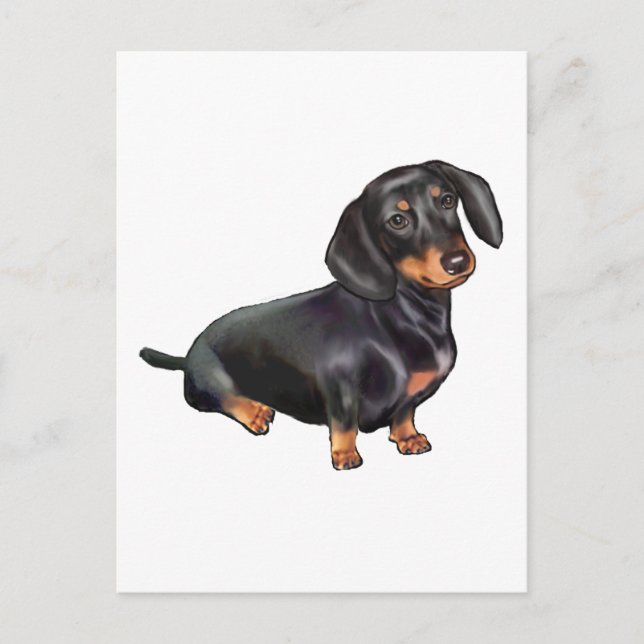 Postal Dachshund (A) - Negro y Canela (Anverso)