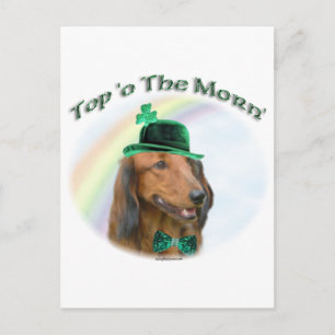 Postal Dachshund arriba de la mañana'; Dachshund St. Patr
