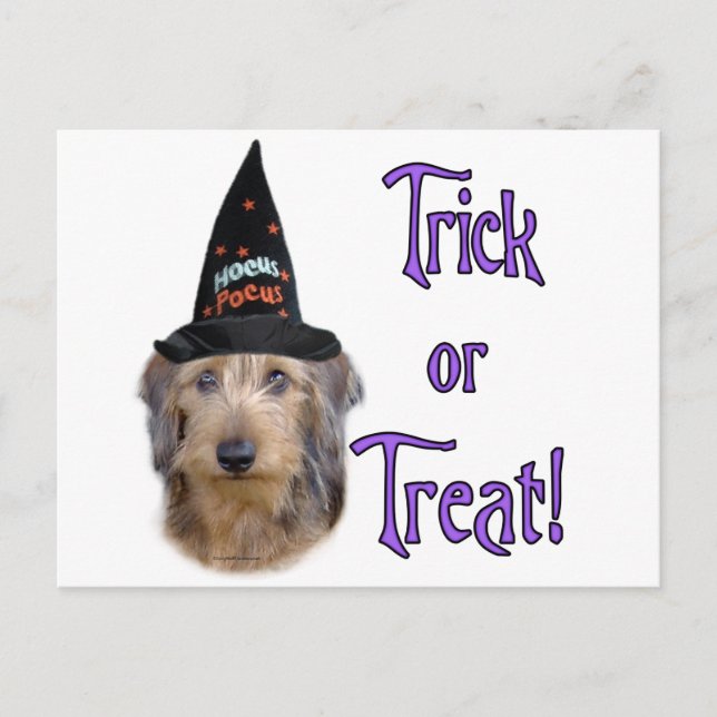 Postal Dachshund (cable) Trick (Anverso)