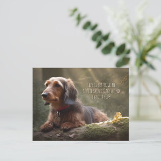 Postal Dachshund con cable en un bosque