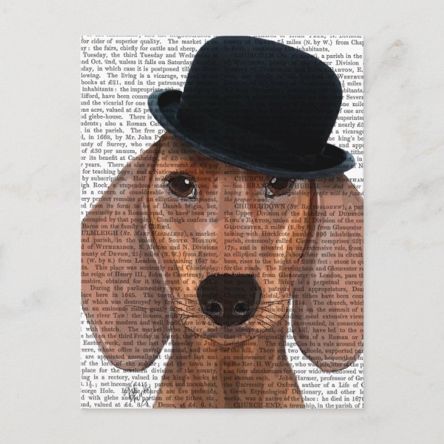 Postal Dachshund con Gorra del Black Bowler (Anverso)