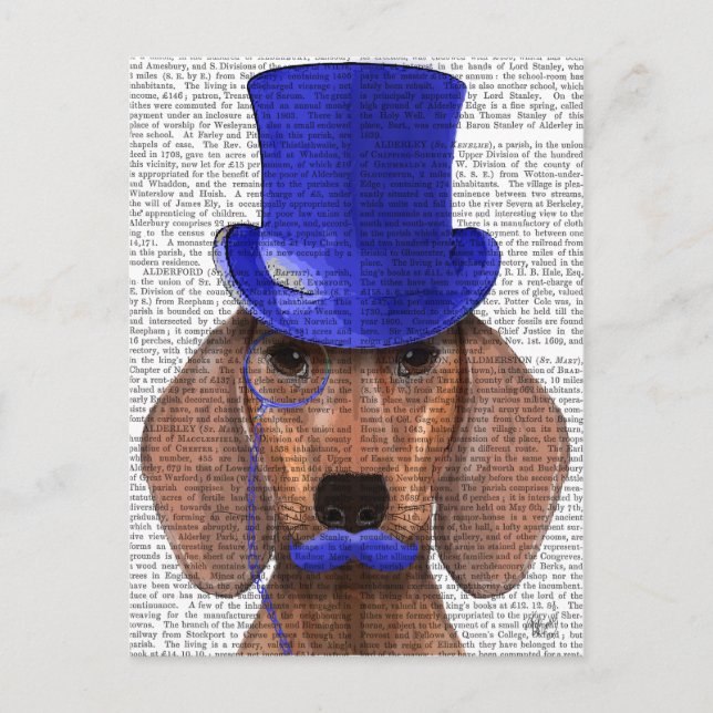 Postal Dachshund con sombrero azul superior y bigote azul (Anverso)