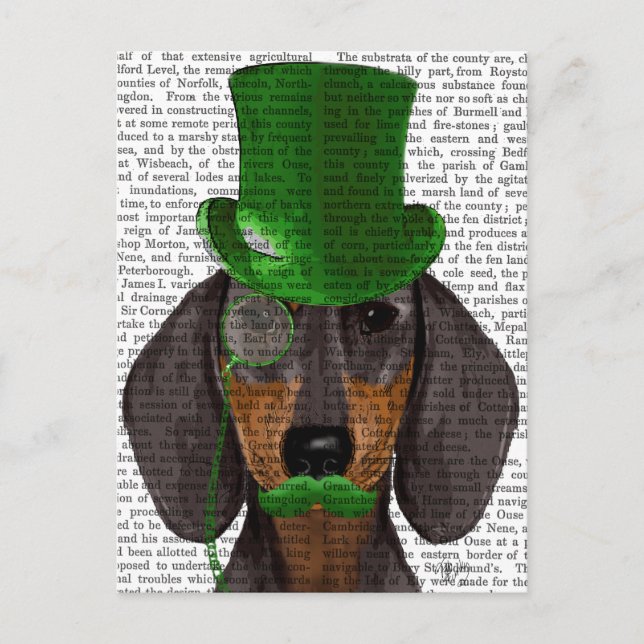 Postal Dachshund con sombrero verde superior negro Tan 2 (Anverso)