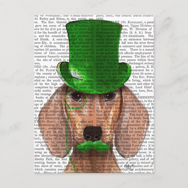 Postal Dachshund con sombrero verde superior y bigote (Anverso)