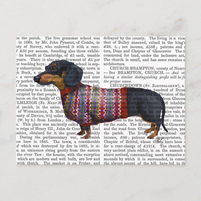Postal Dachshund Con Suéter Lana (Anverso)