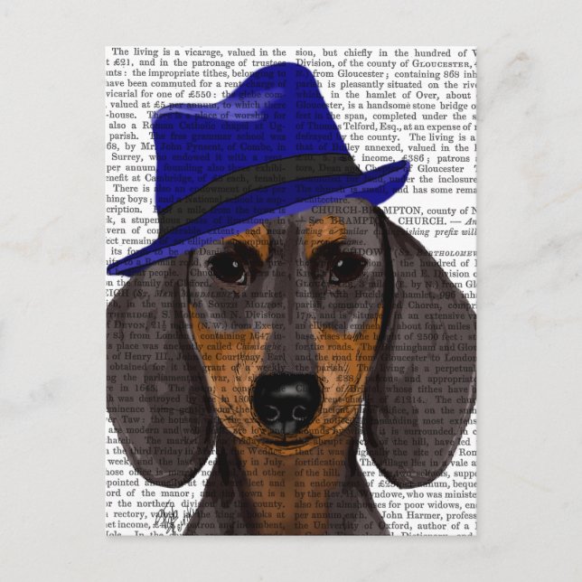 Postal Dachshund Con Trilby Azul (Anverso)