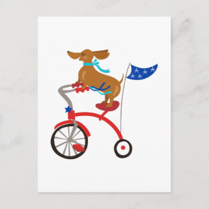 Postal Dachshund En Bicicleta