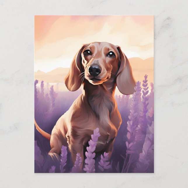 Postal Dachshund en el campo Lavender (Anverso)